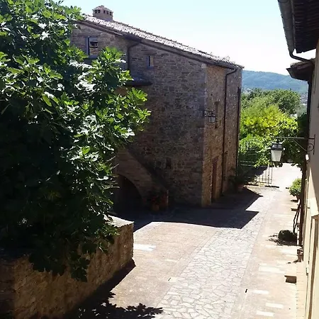 Casa Del Conte *